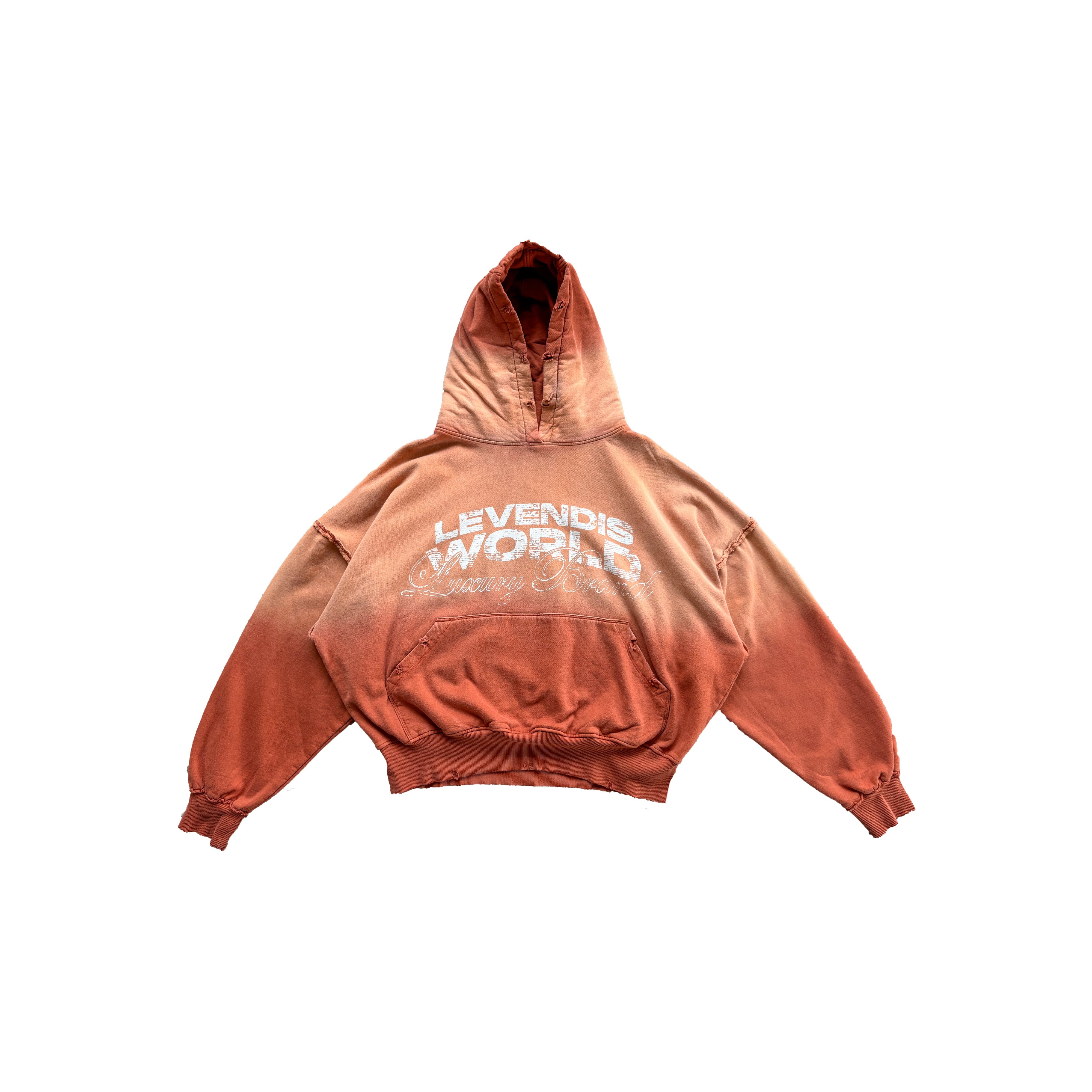 Hoodie boxy LEVENDIS WORLD